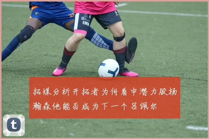 拓媒分析开拓者为何看中潜力股杨瀚森他能否成为下一个吕佩尔