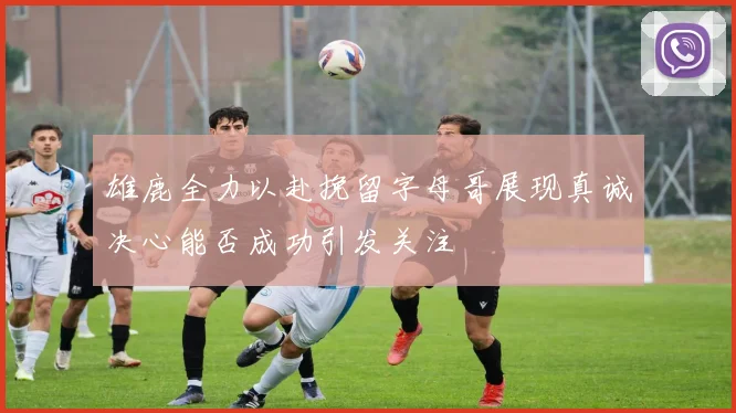 雄鹿全力以赴挽留字母哥展现真诚决心能否成功引发关注