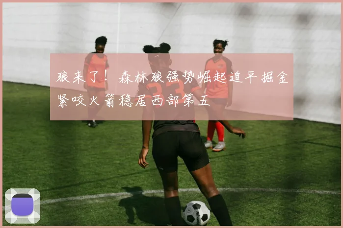狼来了！森林狼强势崛起追平掘金紧咬火箭稳居西部第五