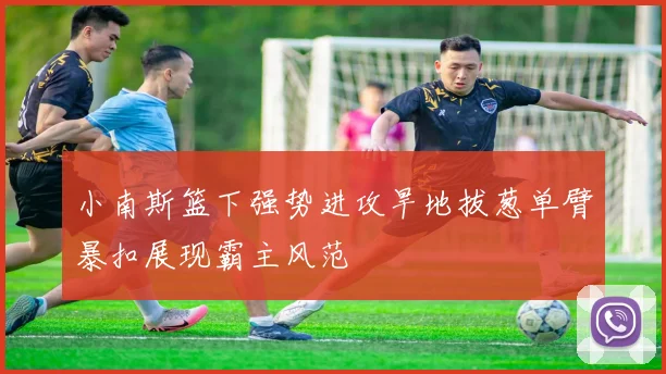 小南斯篮下强势进攻旱地拔葱单臂暴扣展现霸主风范