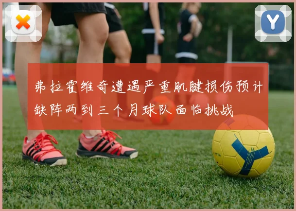 弗拉霍维奇遭遇严重肌腱损伤预计缺阵两到三个月球队面临挑战